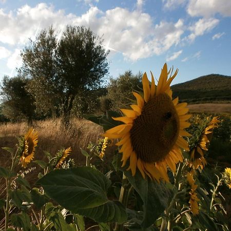 I Casali Di Colle San Paolo Villa Tavernelle  Exteriör bild