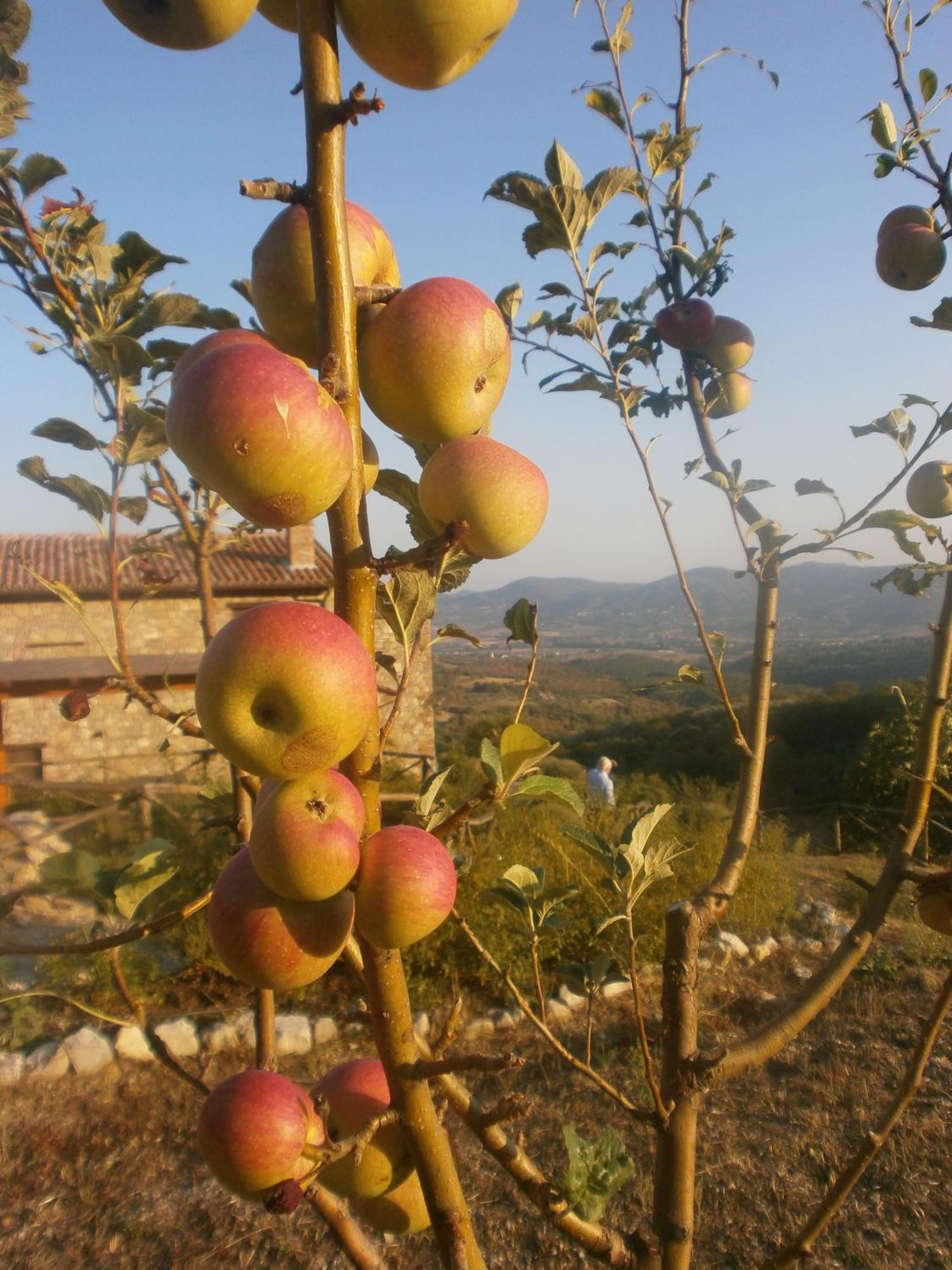 I Casali Di Colle San Paolo Villa Tavernelle  Exteriör bild