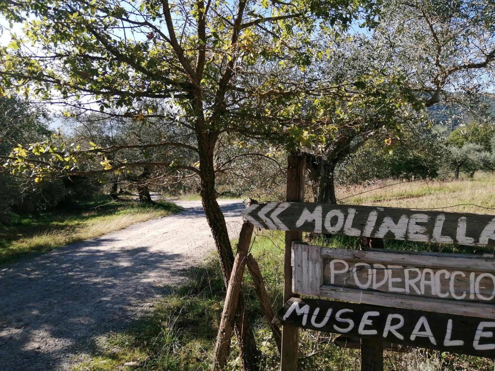 I Casali Di Colle San Paolo Villa Tavernelle  Exteriör bild