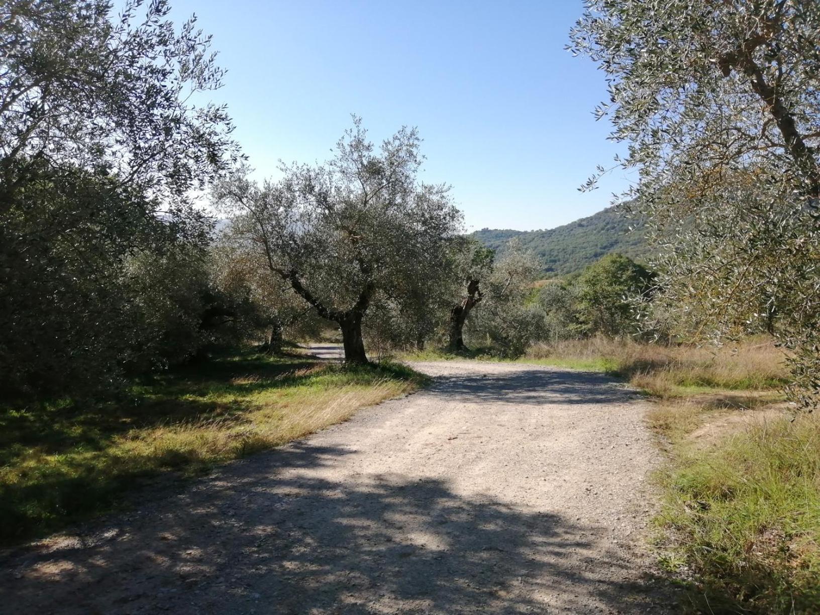 I Casali Di Colle San Paolo Villa Tavernelle  Exteriör bild