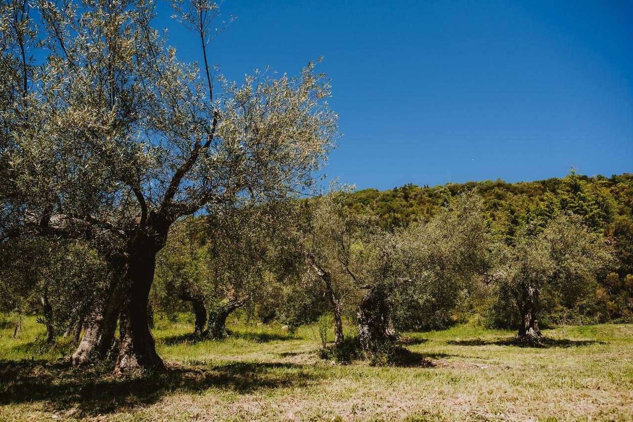 I Casali Di Colle San Paolo Villa Tavernelle  Exteriör bild